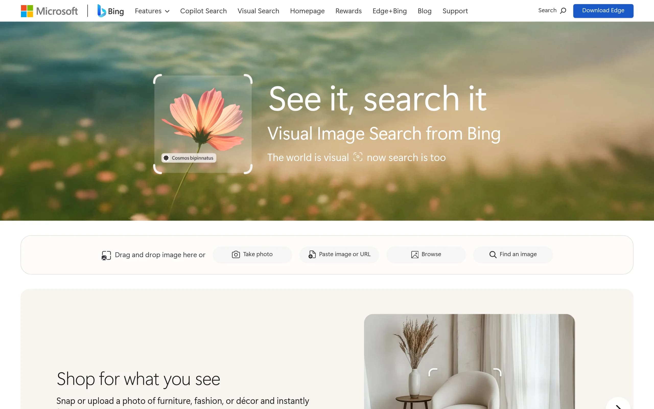 Bing Visual Search
