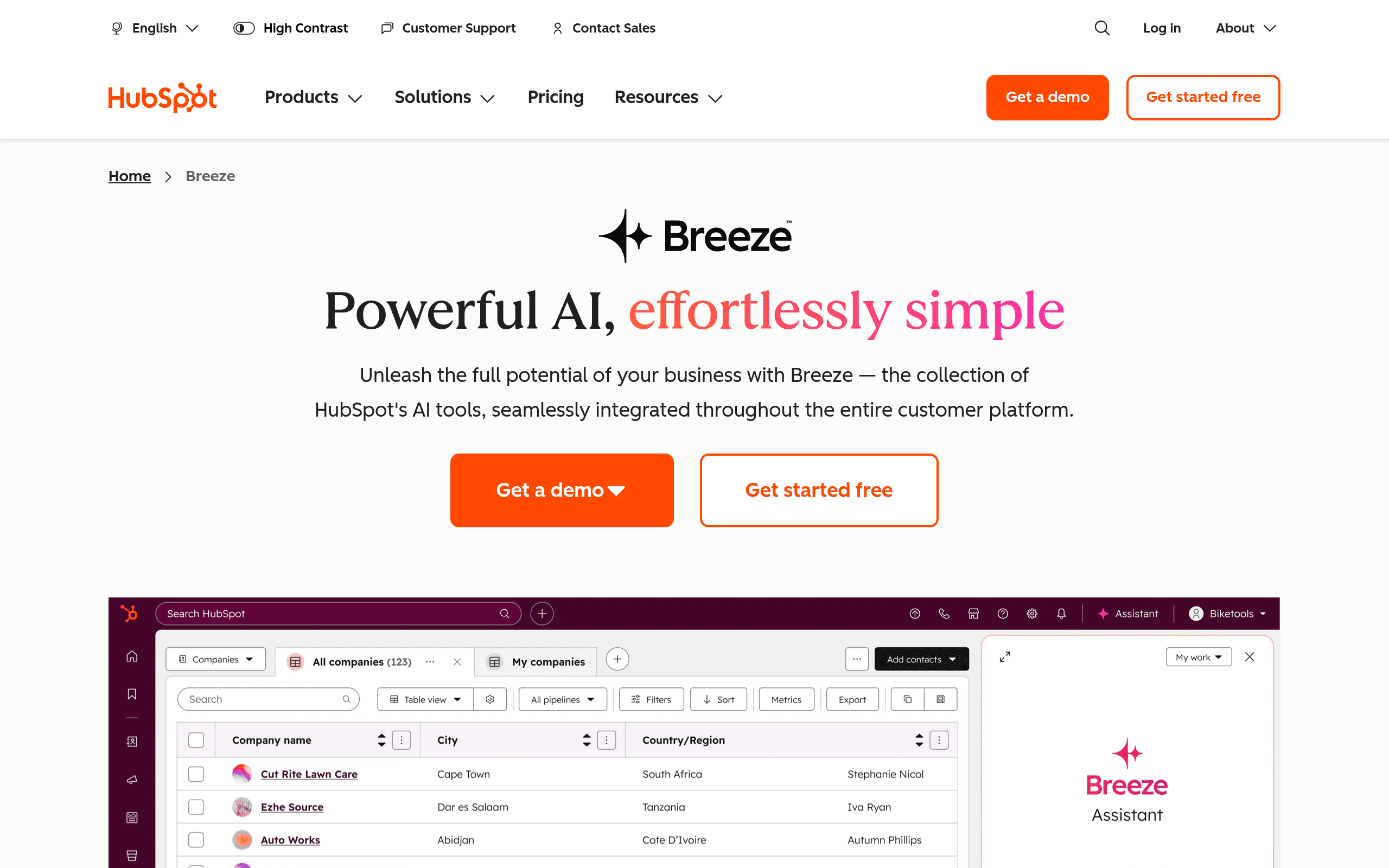 Breeze Copilot AI