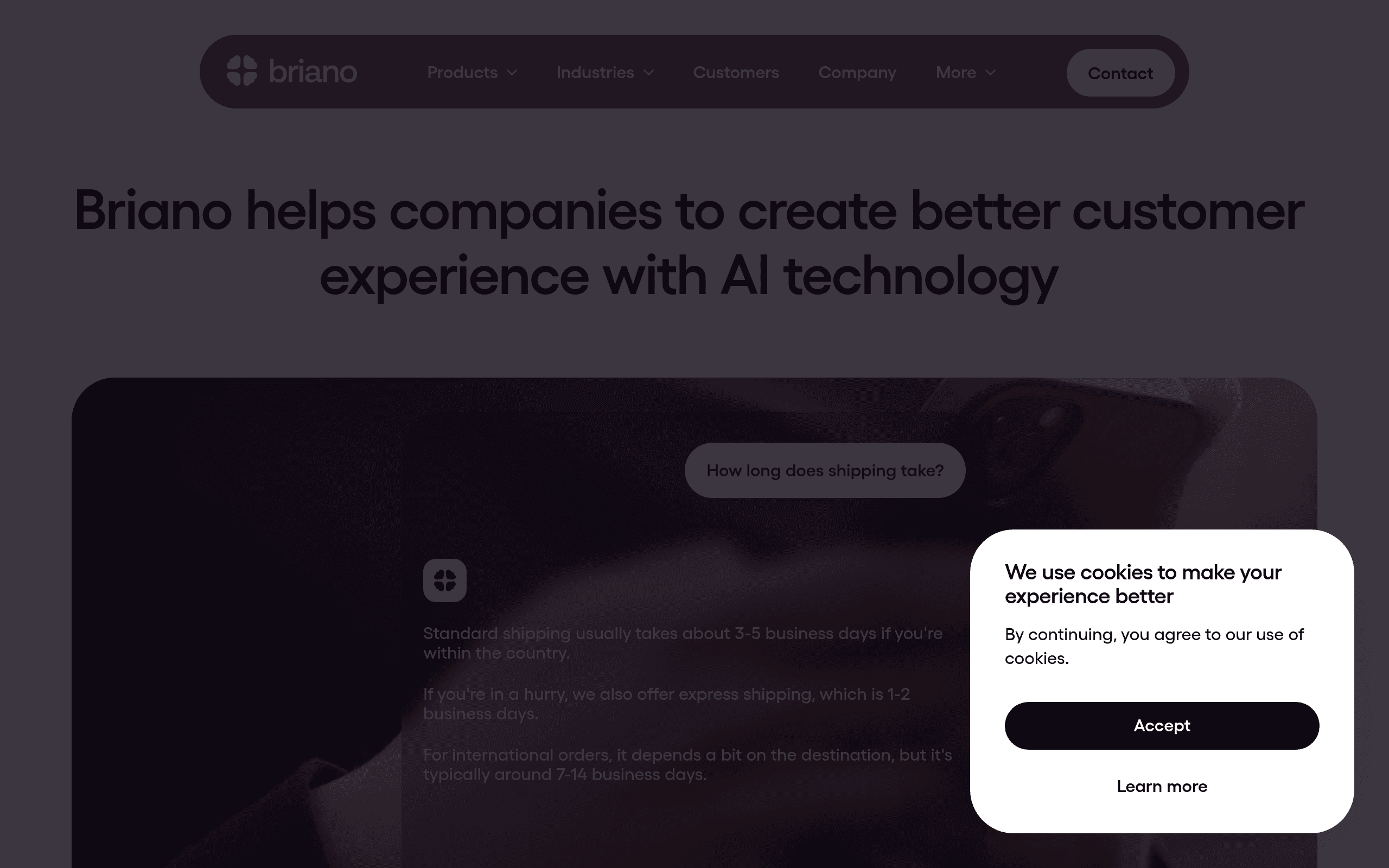 Briano AI