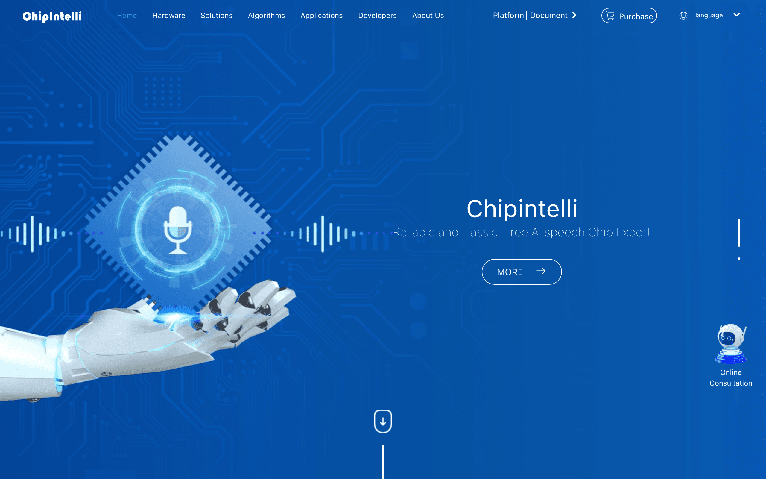 ChipIntelli