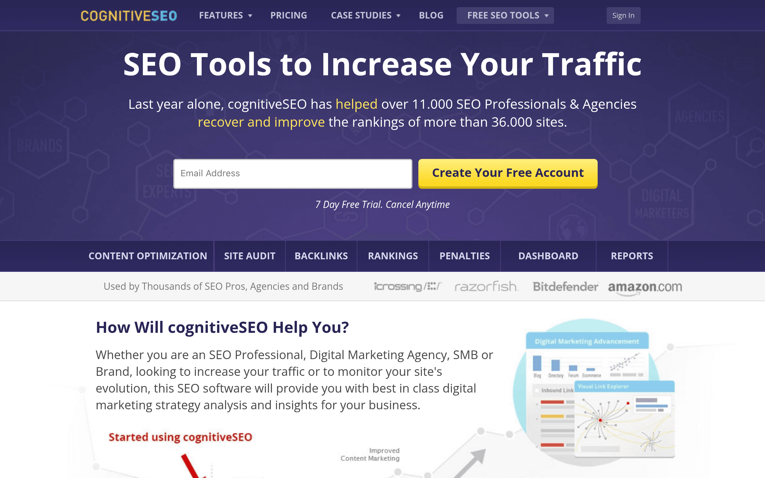CognitiveSEO