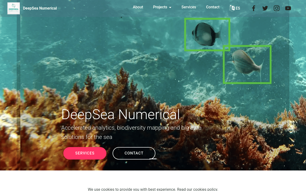 DeepSea Numerical