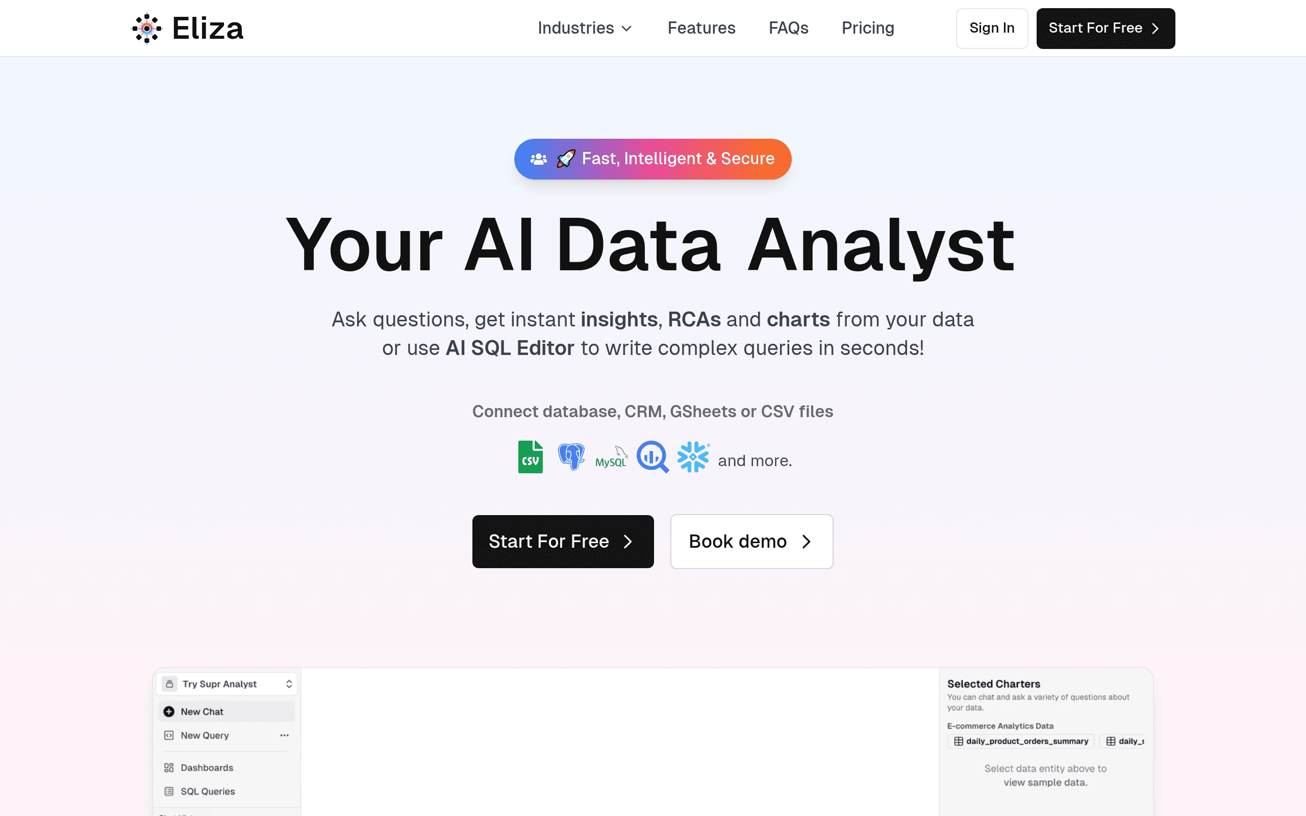 Eliza - Your AI Data Copilot