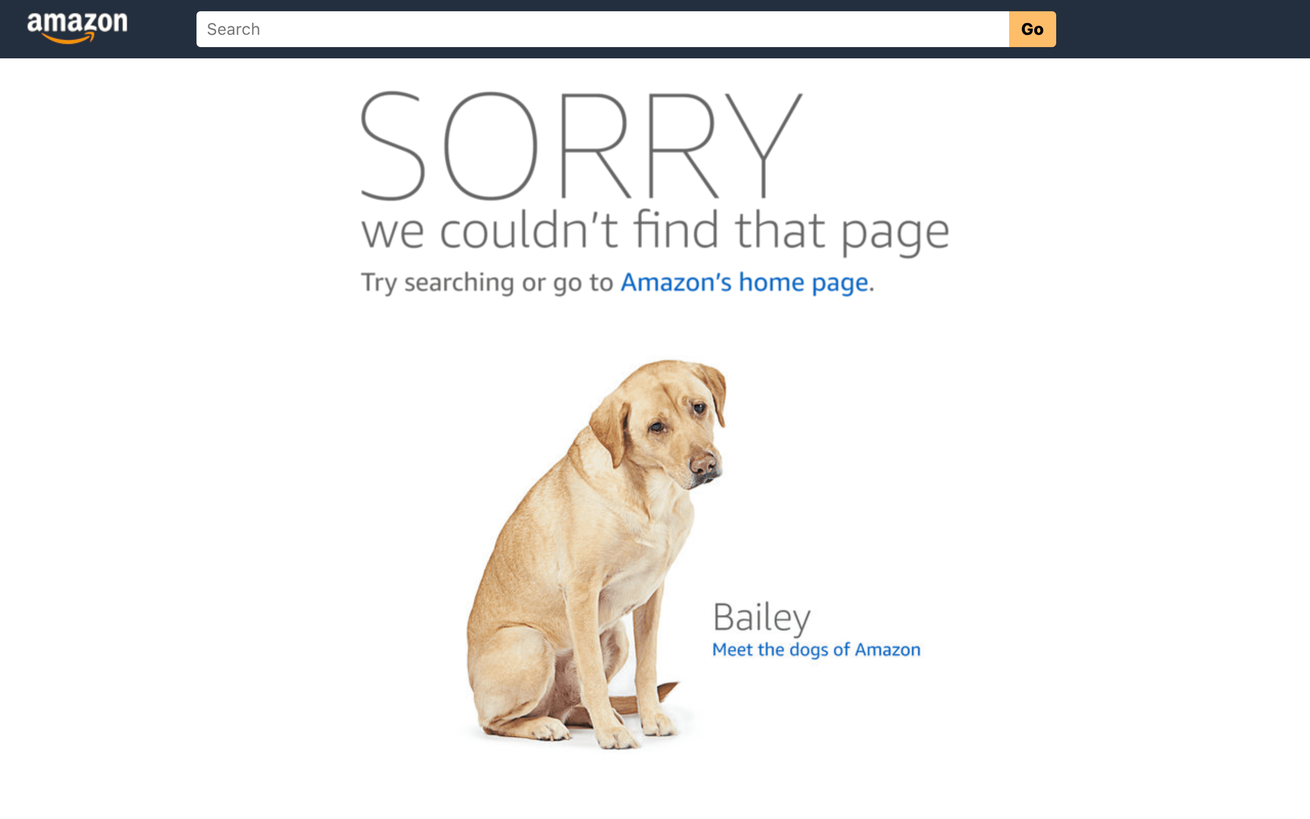 Evi By Amazon