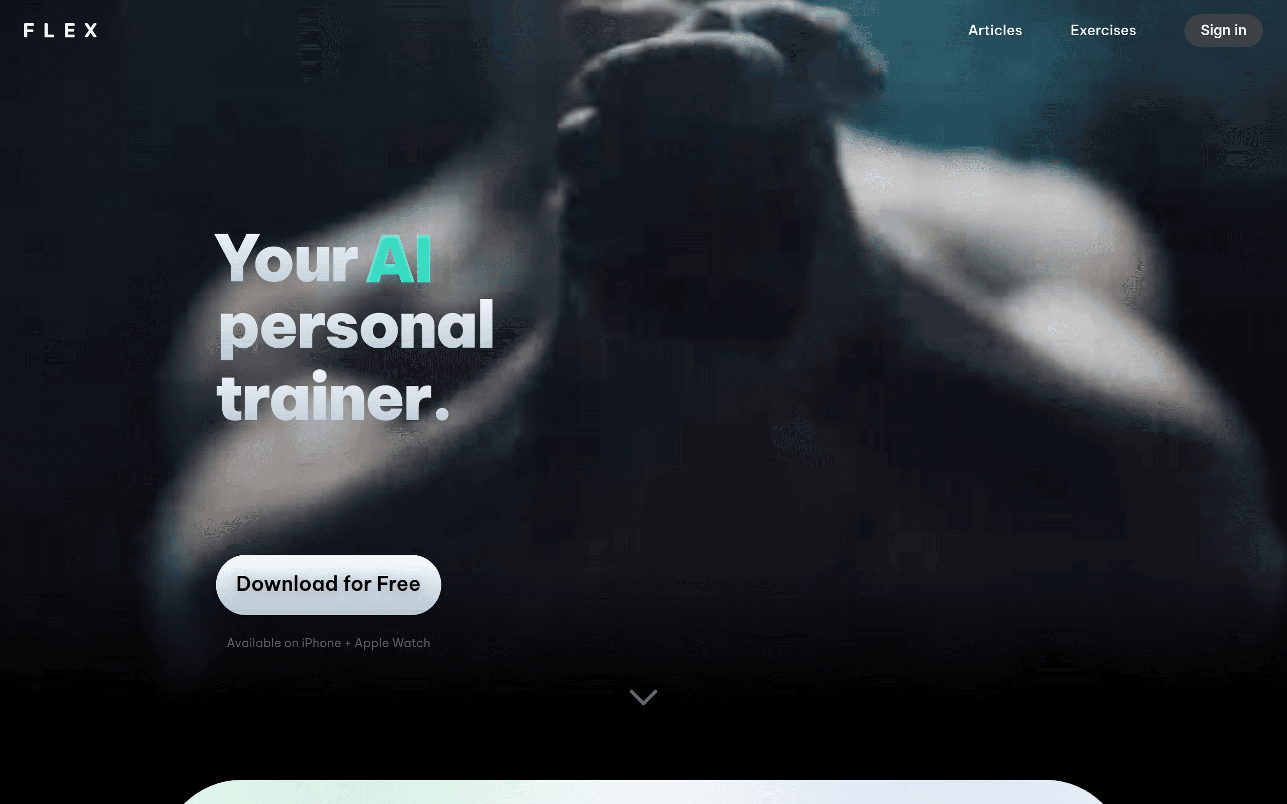 Flex AI