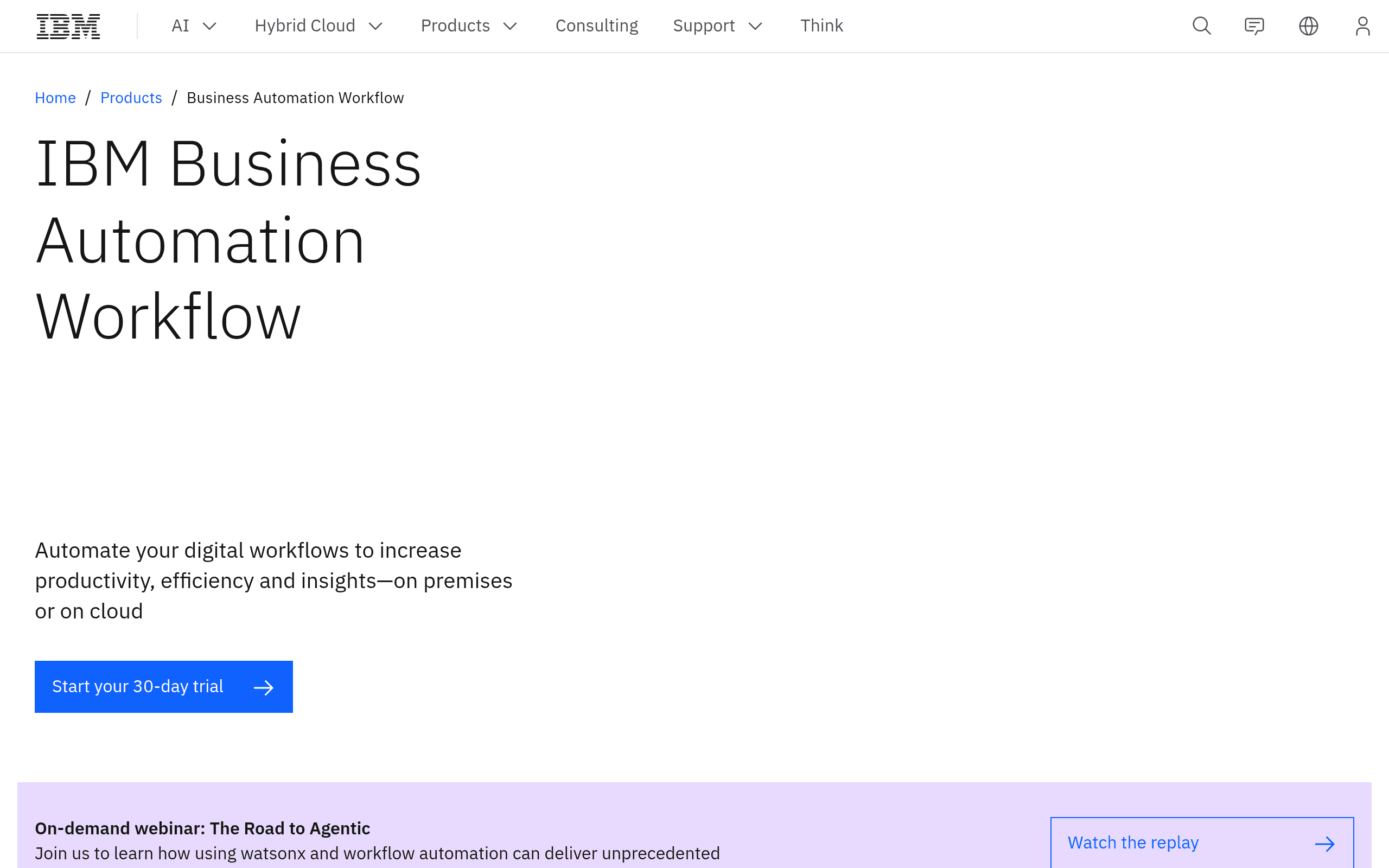 IBM BPM