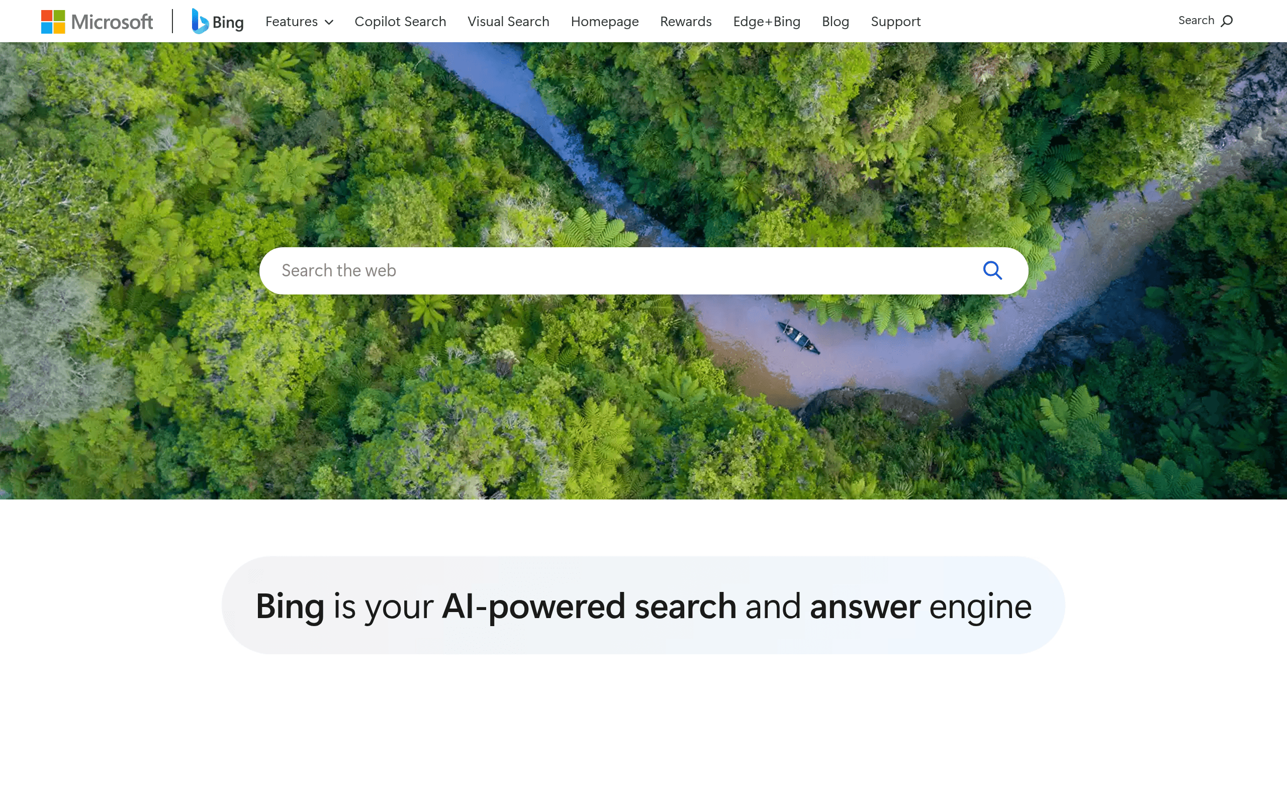 Microsoft Bing