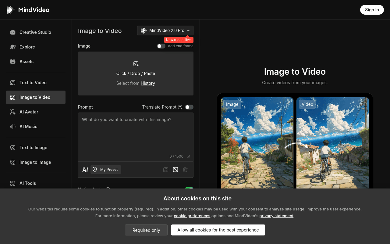 MindVideo