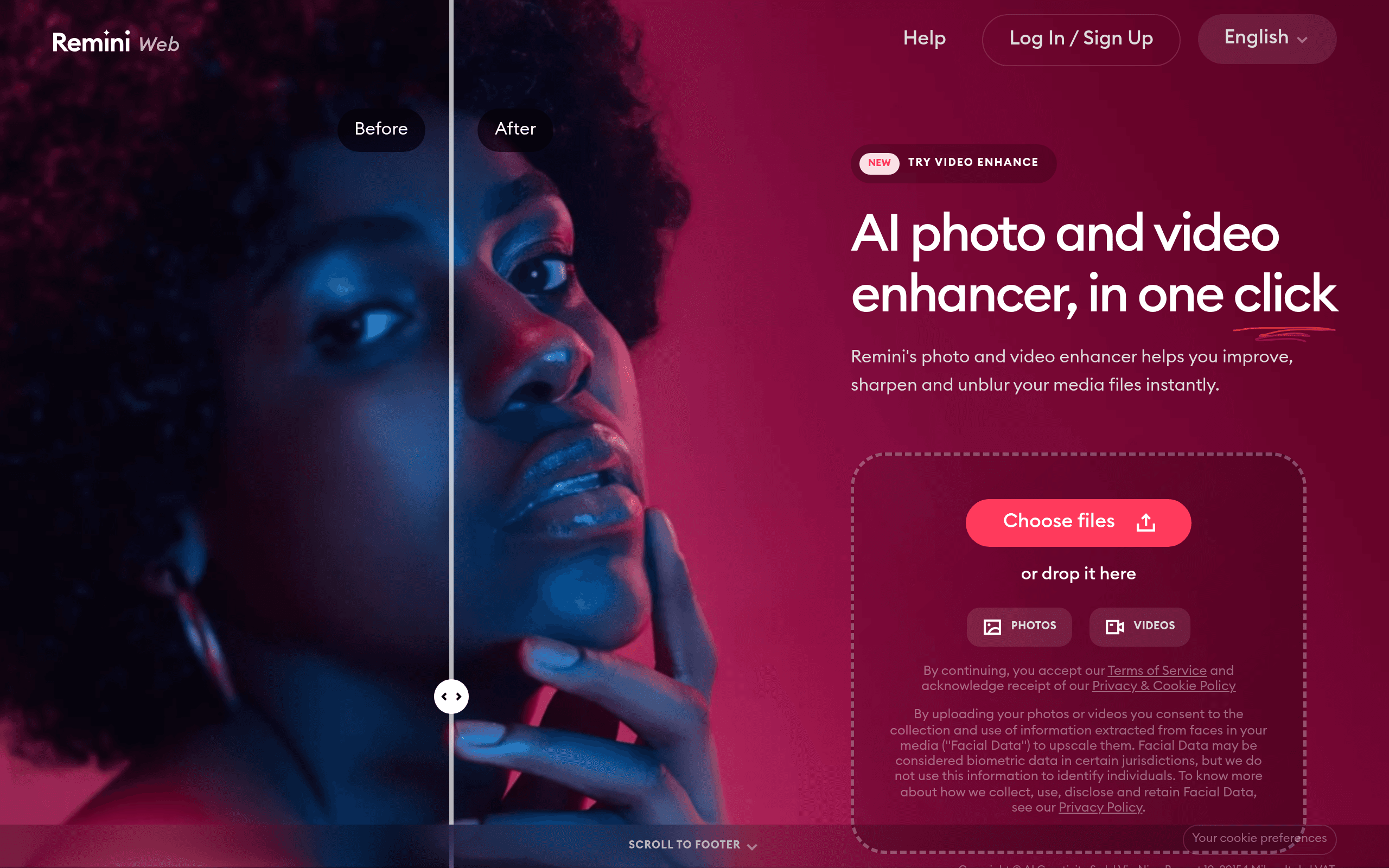 Remini Web