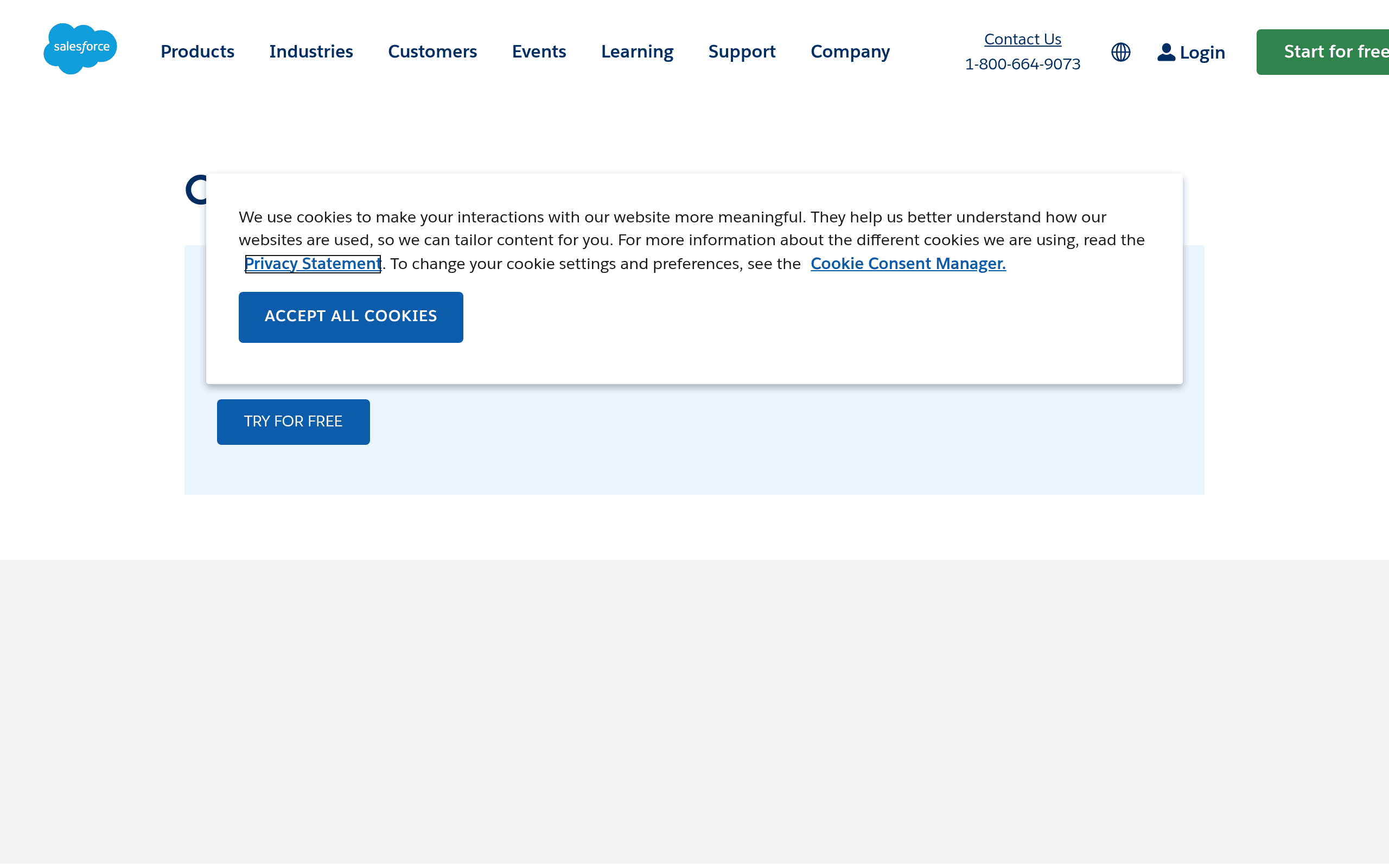 Salesforce Einstein Vision