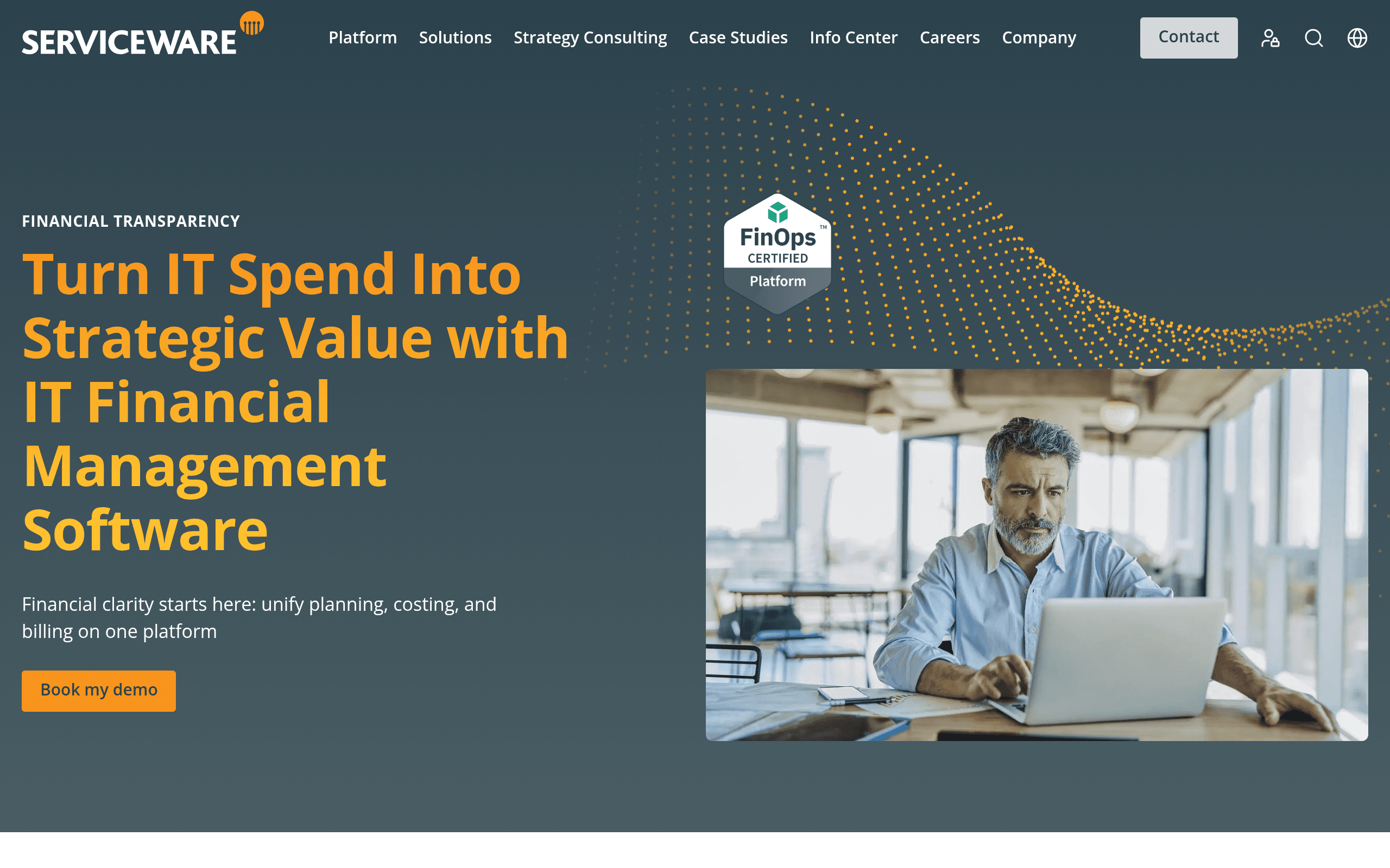 Serviceware ITFM Software