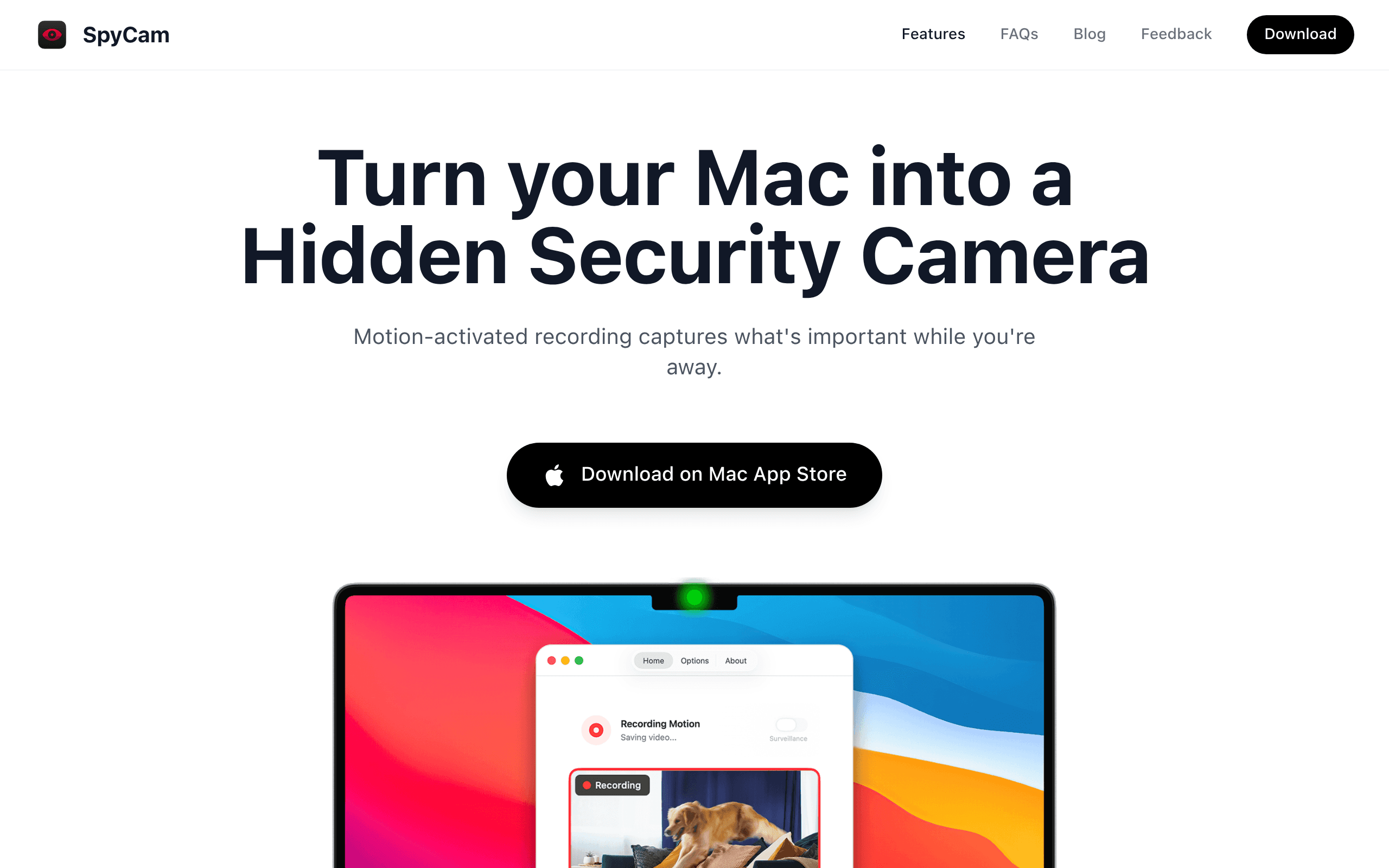 SpyCam