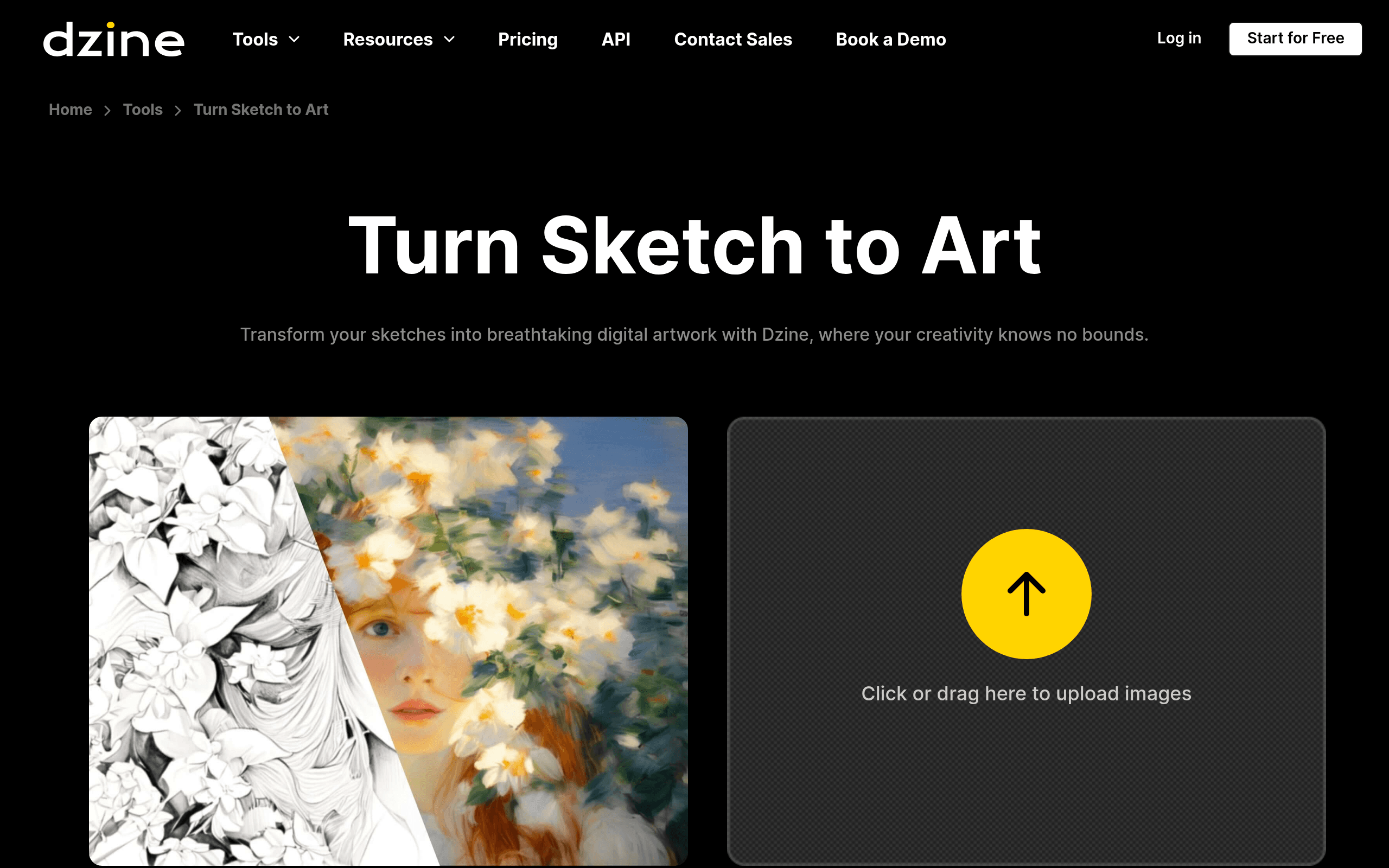 Turn Sketch to Art by Stylar