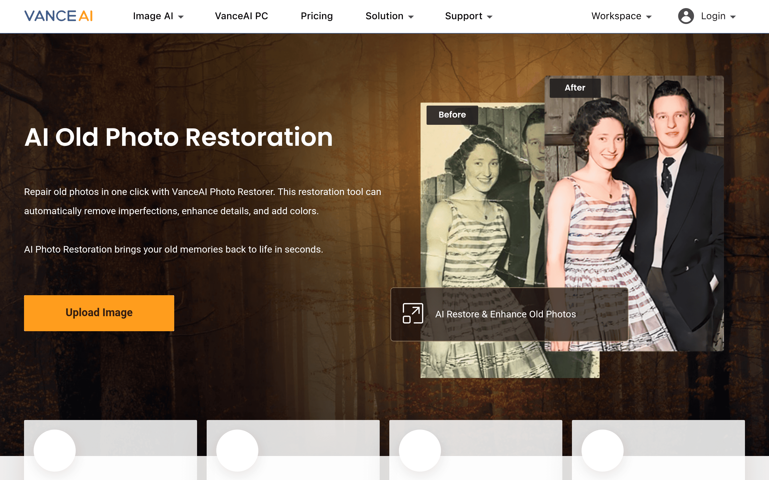 VanceAI Photo Restorer