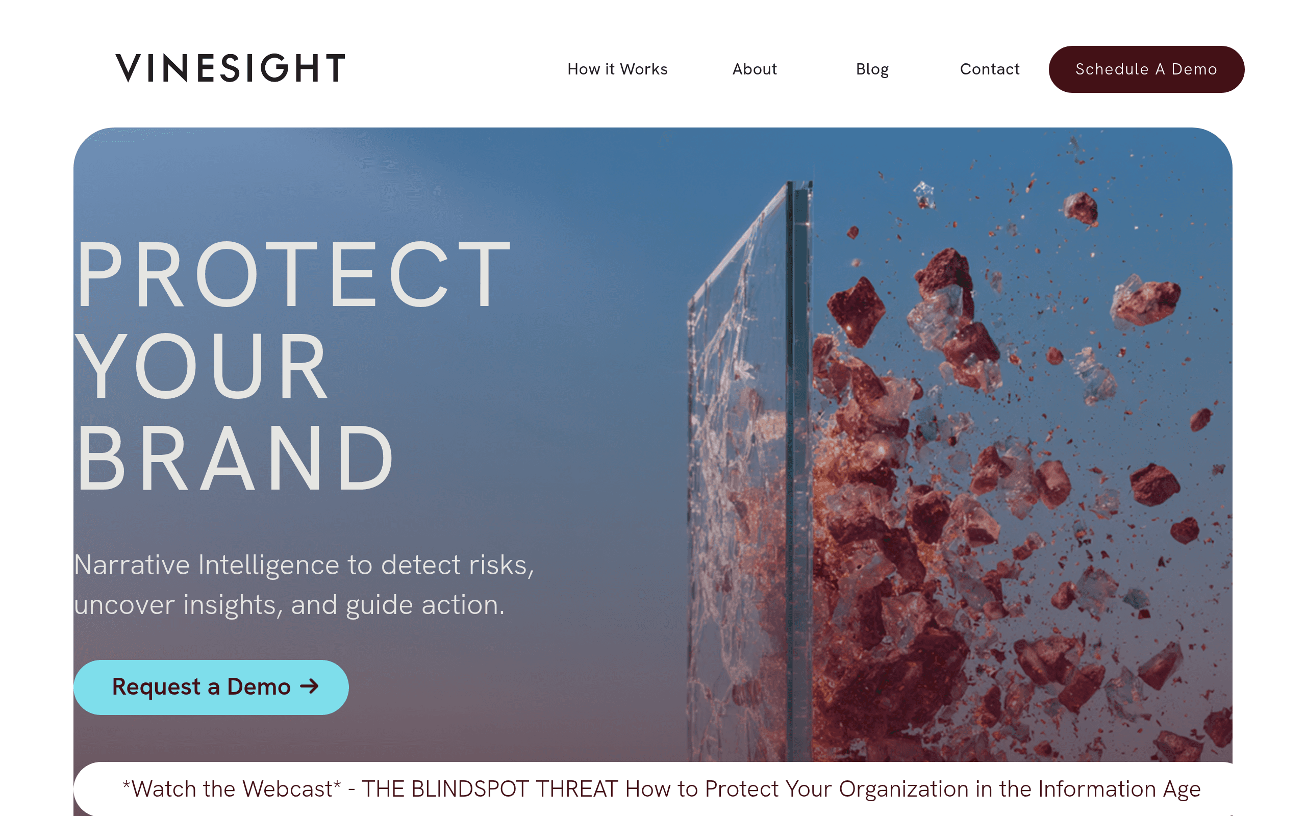 VineSight AI