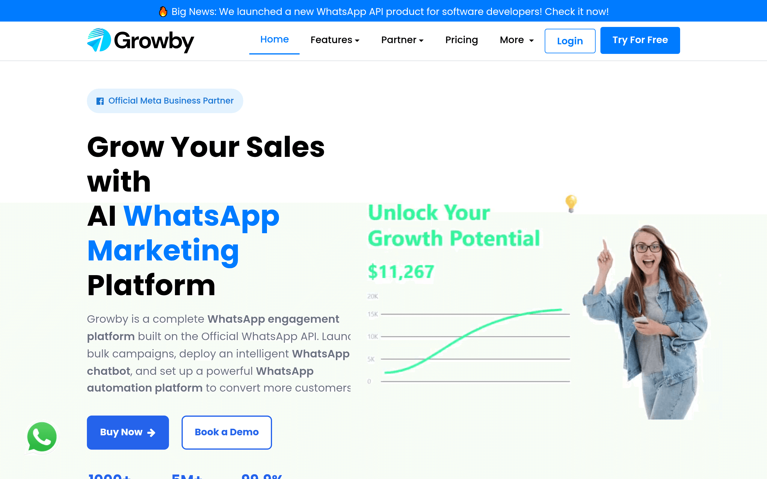 Whatso AI Chatbot