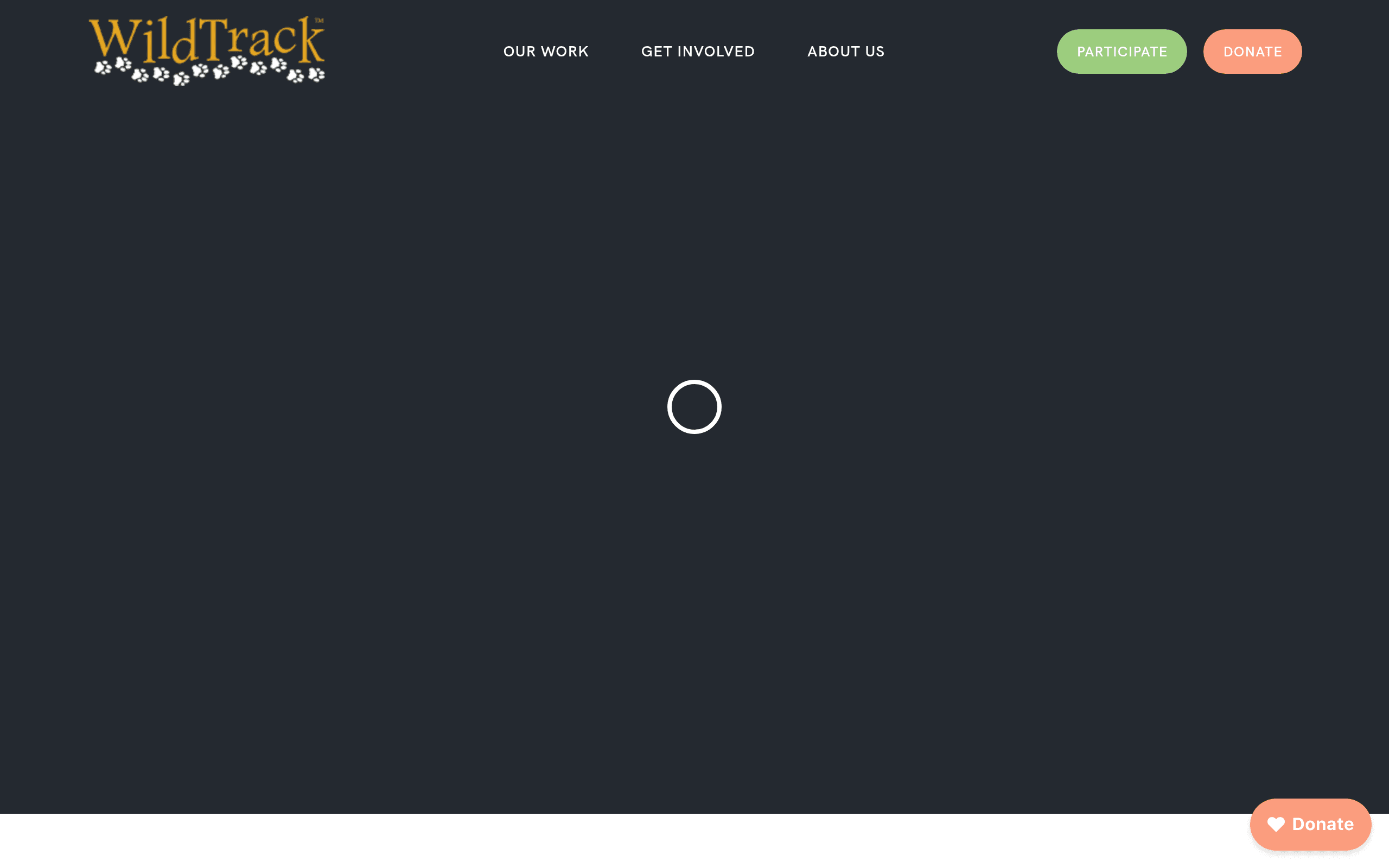 WildTrack.org